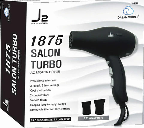Dream World J2  Salon Turbo AC Motor Dryer