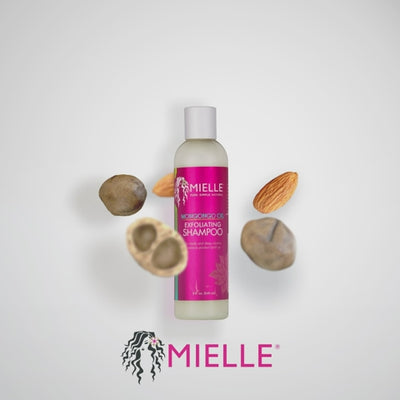 Mielle Organics Mongongo Oil Exfoliating Shampoo 8 Ounces